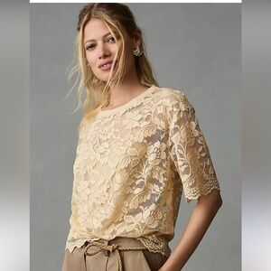 Dolan Left Coast Boxy Scalloped Lace Top- size XS